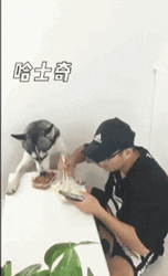 치사해서 안먹는다 | 인스티즈