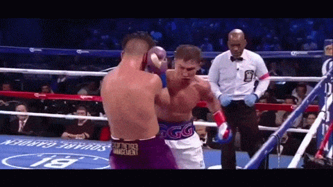 맷집 도사 복서들도 무릎꿇게하는 바디샷 | 인스티즈