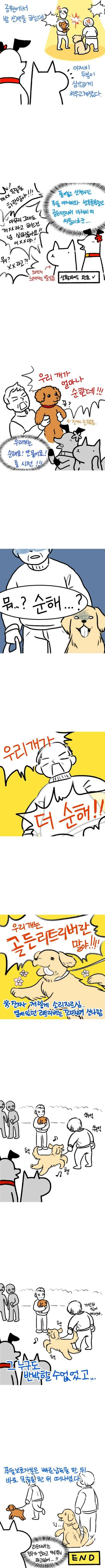 골든리트리버 주인아저씨의 분노.JPG | 인스티즈