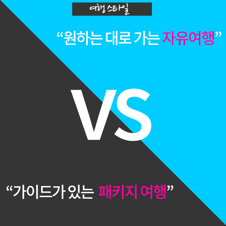 원하는대로 가는 자유여행vs가이드가 있는 패키지여행 | 인스티즈