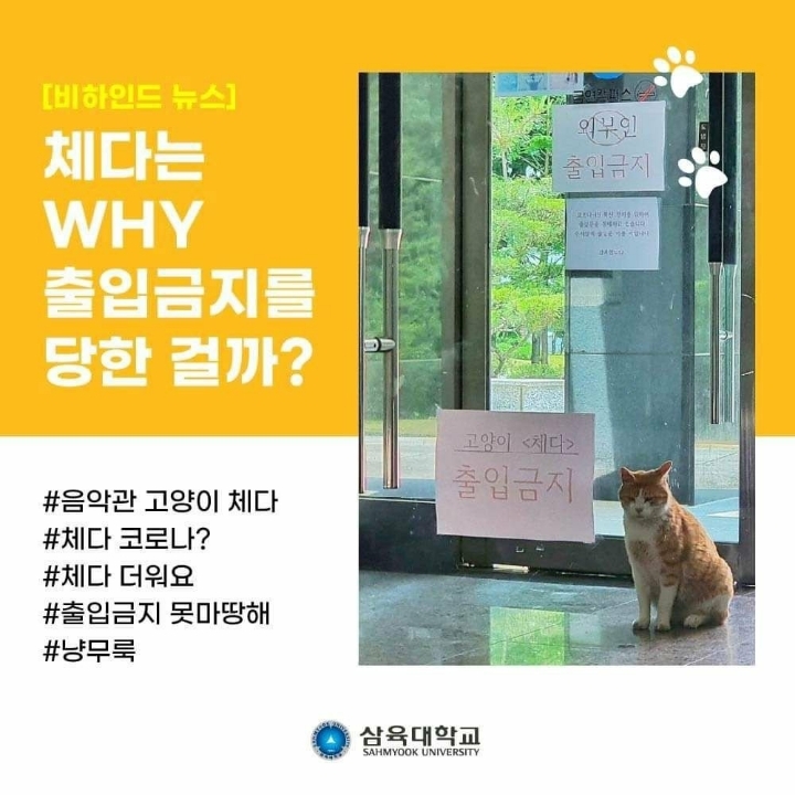 고양이 출입 금지시킨 대학교 .JPG | 인스티즈