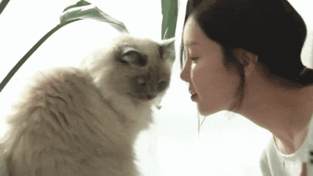 더 이뻐진 씨야 남규리 인스타 근황.jpg | 인스티즈