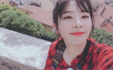 레드벨벳 슬기 여친느낌 | 인스티즈