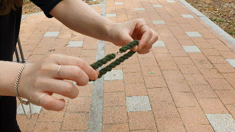 최근 인싸들 사이에 핫하다는 패션 아이템.gif | 인스티즈