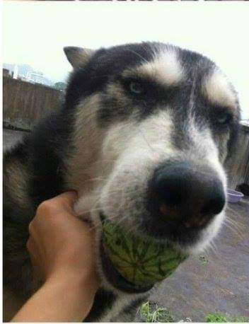 다시보는 고전.jpg | 인스티즈