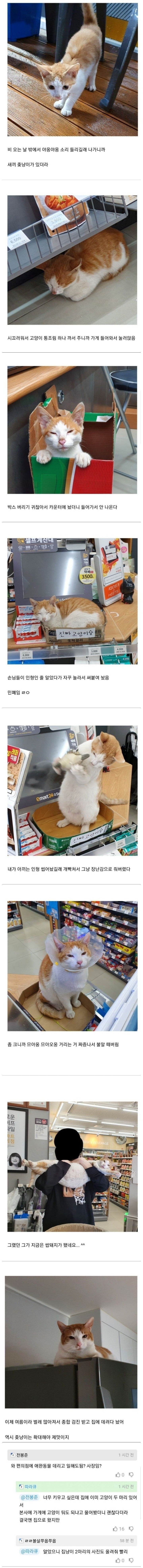 냥줍한 편의점 사장.jpg | 인스티즈