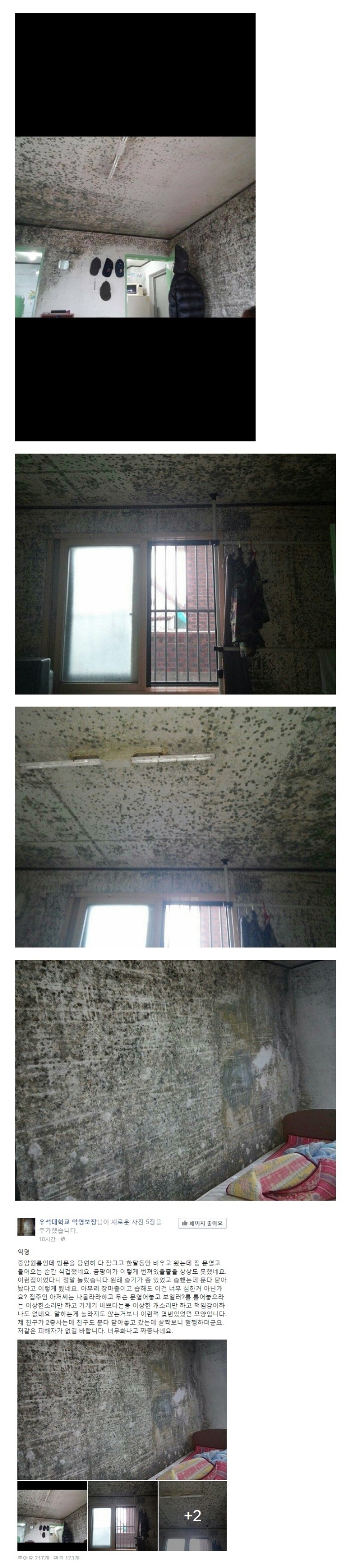 원룸자취할때 반지하를 조심해야하는이유 | 인스티즈