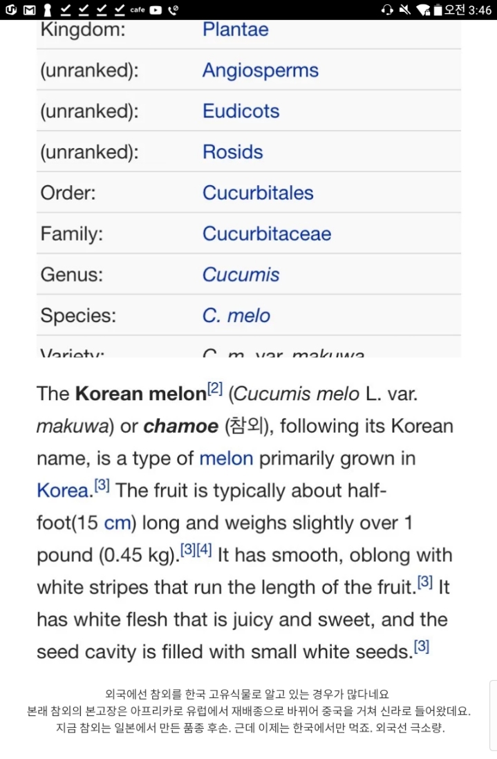 외국에서 한국 고유의 과일로 착각하는 것 | 인스티즈