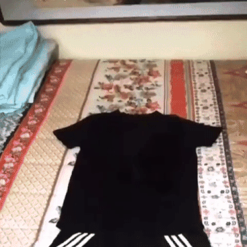 검은 고양이 키우는 사람들이 조심하는 이유 | 인스티즈