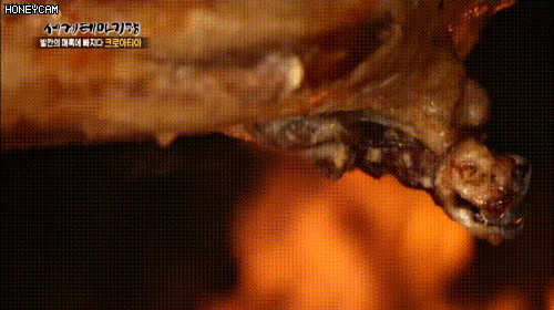 양고기바베큐 | 인스티즈