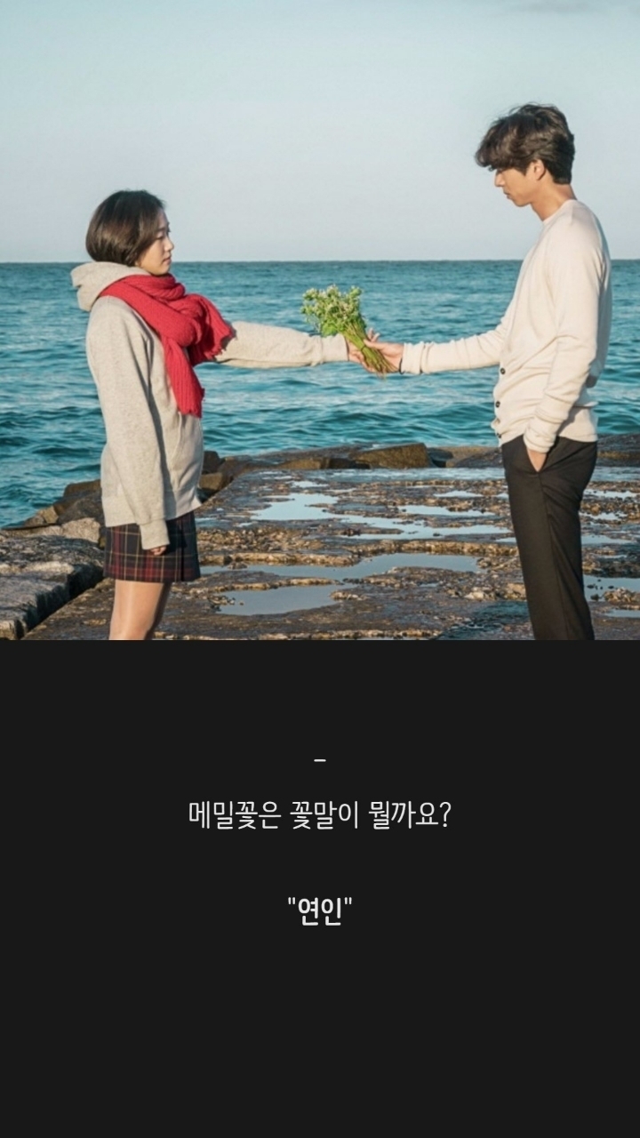 드라마 도깨비 명대사들 | 인스티즈