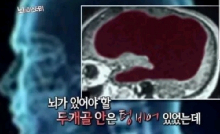 직장상사에게 보내기 좋은짤 | 인스티즈