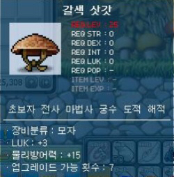 [메이플스토리] 과거 인기 많았던 아이템들 | 인스티즈