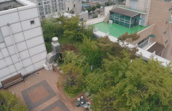 한국에 파쿠르 하러 왔다가 죽을 뻔한 외국인 | 인스티즈