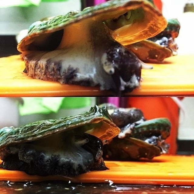 50ec7fa66c2c844a0f22ec06c51fcbd6995b7a75