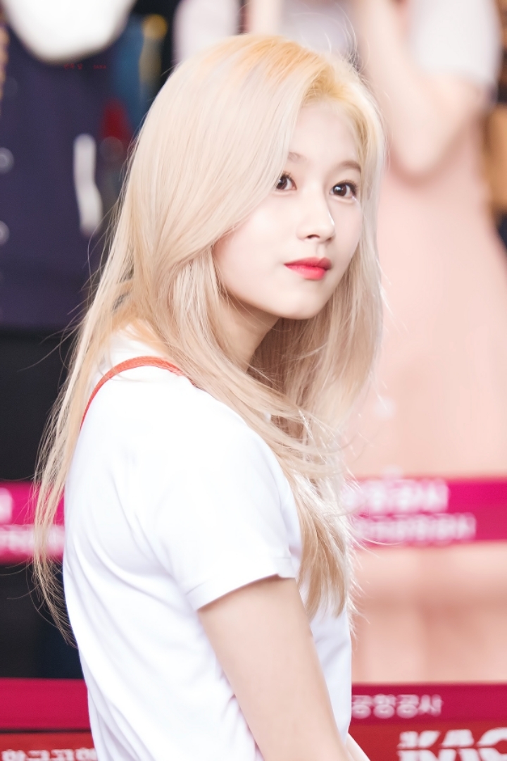 2020년을 여는 트와이스 사나 첫번째 글 | 인스티즈