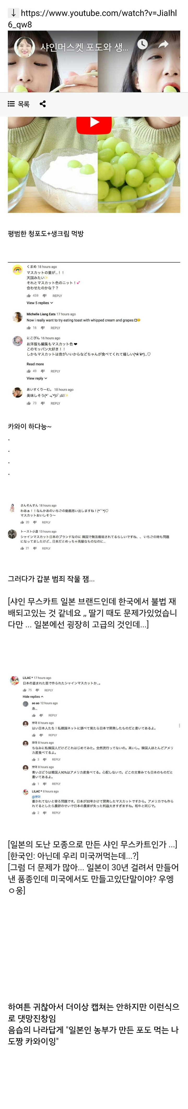 한국인 먹방 유튜버 영상에 환장스러운 일본인 댓글 | 인스티즈