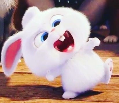 마이펫의 이중생활에서 핵귀여운 스노우볼.gif | 인스티즈