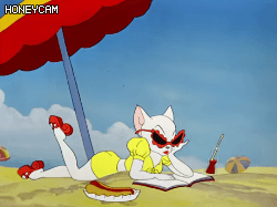 상남자식 헌팅.gif | 인스티즈