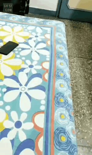 마 고양아 밥무라 | 인스티즈