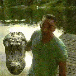 공포의 무선 조종 | 인스티즈