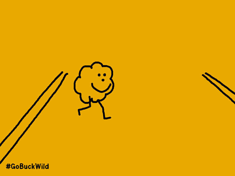 팝콘과 도리토스.gif | 인스티즈