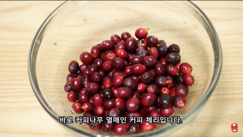 유튜브에 미을 치면 제일 위에 뜨는 유튜버의 진짜 광기 | 인스티즈