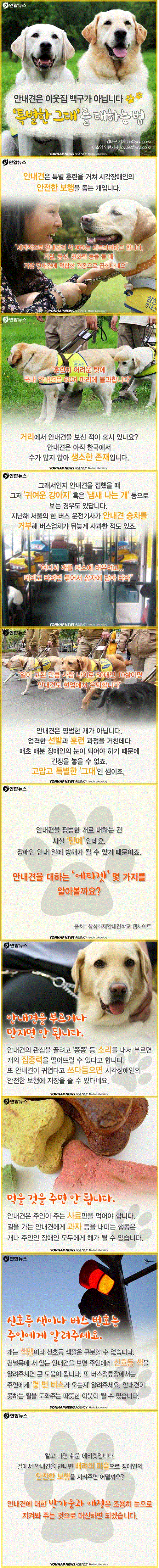 안내견을 대하는법 | 인스티즈