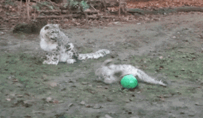 엄마도 사실은 놀고 싶었다.gif | 인스티즈