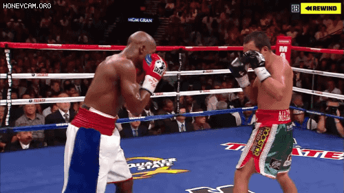 프로 복서들의 찰나 | 인스티즈