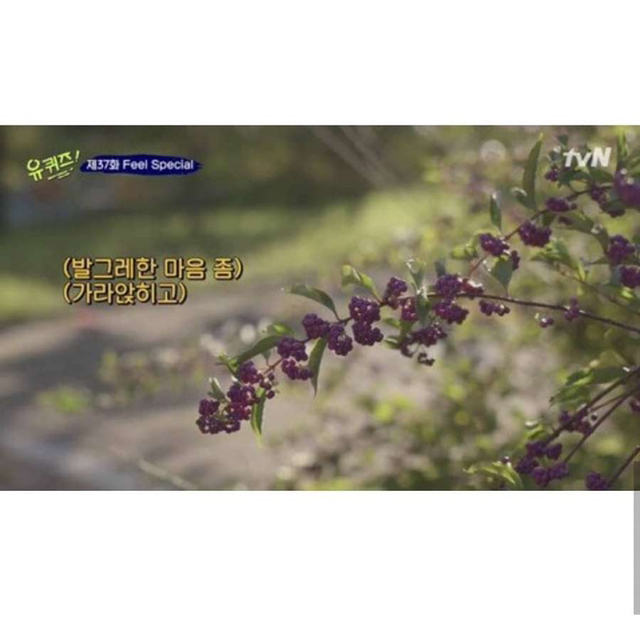 유재석도 수습못한 말실수 | 인스티즈