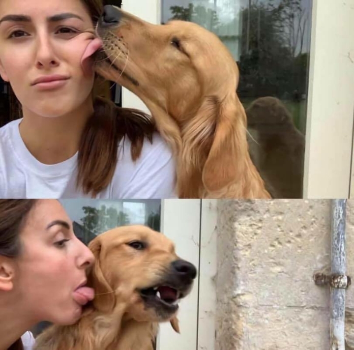 내로남불 | 인스티즈