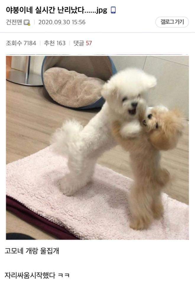 올해도 시작된 2020추석 레전드 | 인스티즈