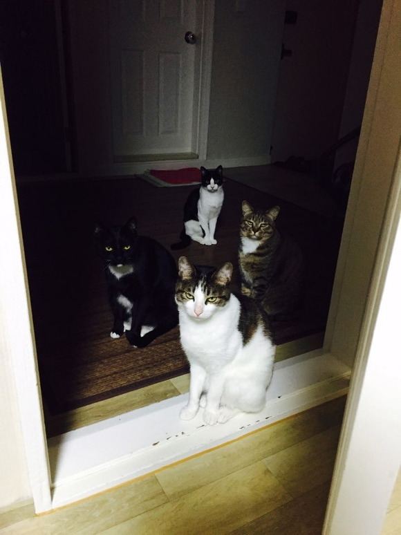 내가 허락하지. 가서 『죽여라』.jpg | 인스티즈