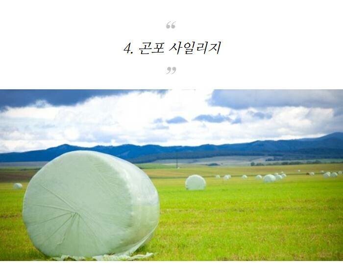 자주 보지만 이름은 모르는 물건 8가지 | 인스티즈