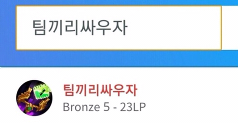 롤 티어별 닉네임.jpg | 인스티즈