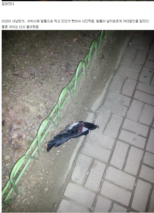 맨손으로 매 잡은 디씨인 | 인스티즈