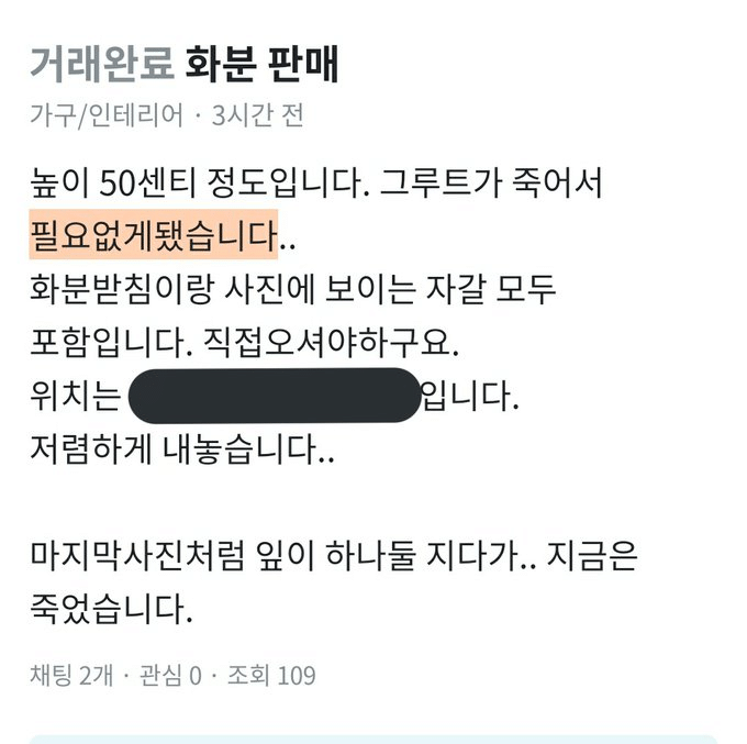 우당탕탕 당근마켓 모음.jpg | 인스티즈