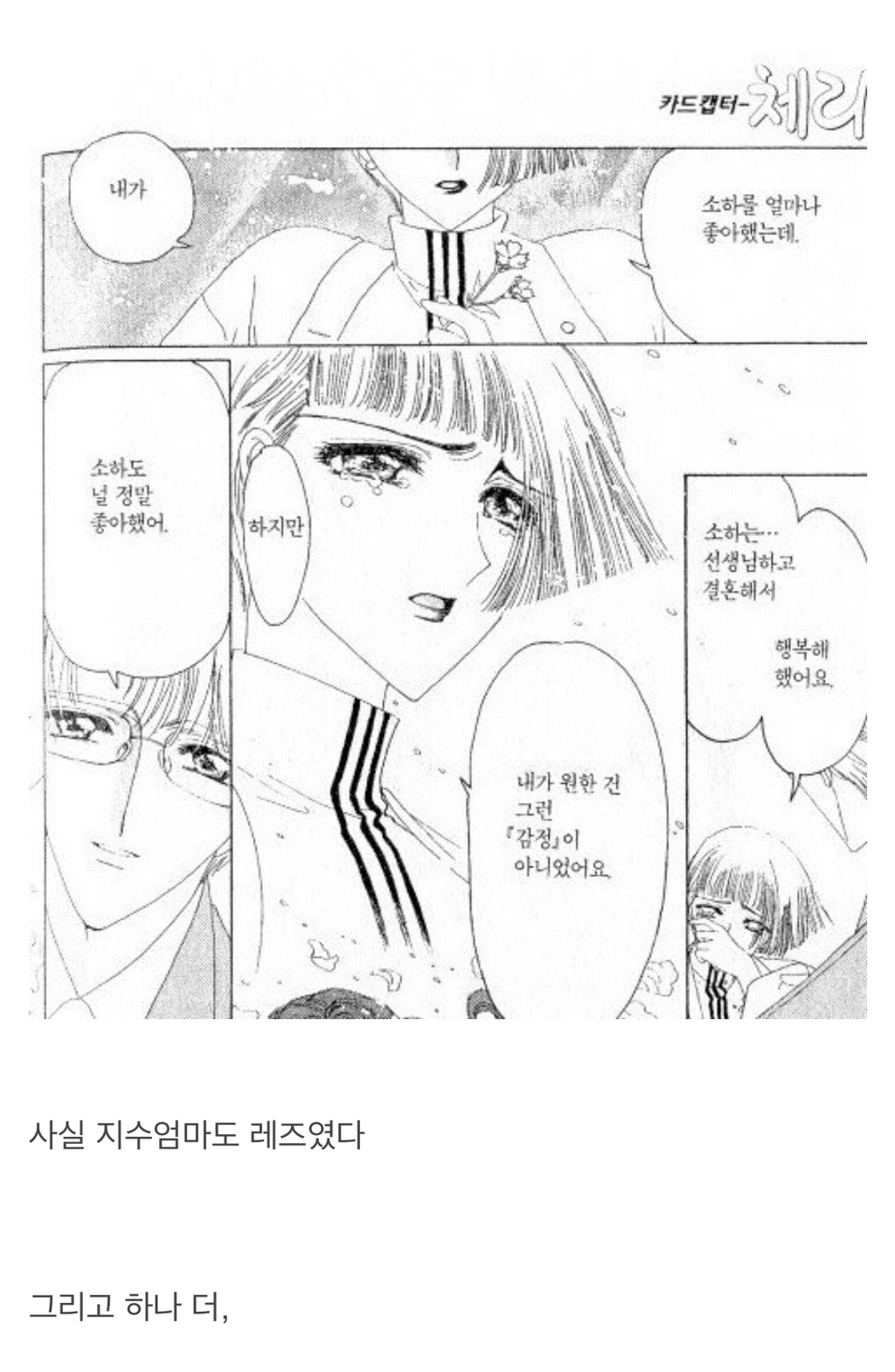 알고보니 진정한 PC였던 만화 - 카드캡쳐 체리.jpg | 인스티즈