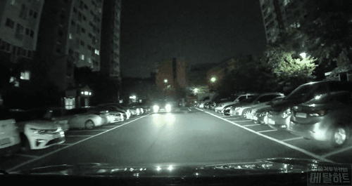 블랙박스 아파트 단지내 어린이 사고 (혐오주의) | 인스티즈