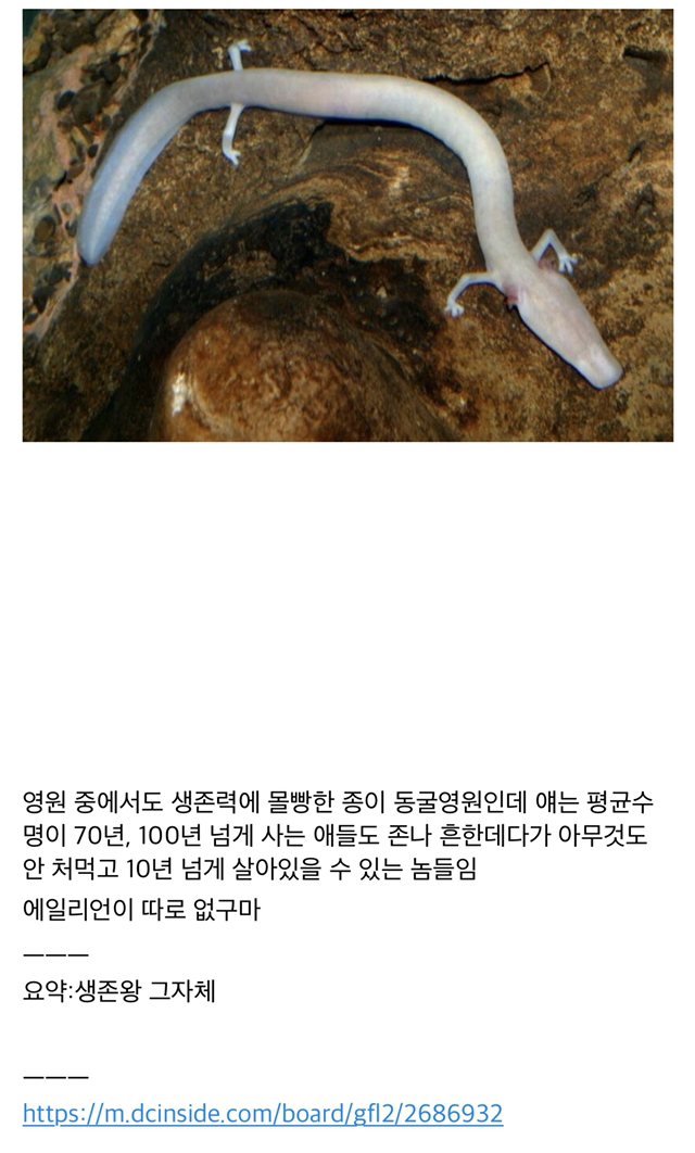 기묘한 현실 저그 | 인스티즈