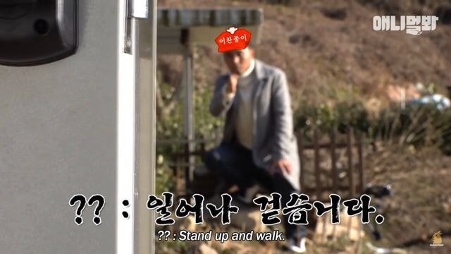 현재 본방 끝나고 호돌이 / 시청자 우롱 으로 논란 중인 동물농장 | 인스티즈