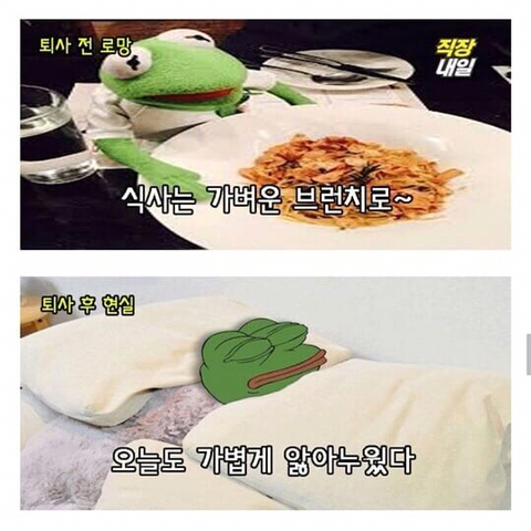 퇴사 전 로망, 퇴사 후 현실.JPG | 인스티즈