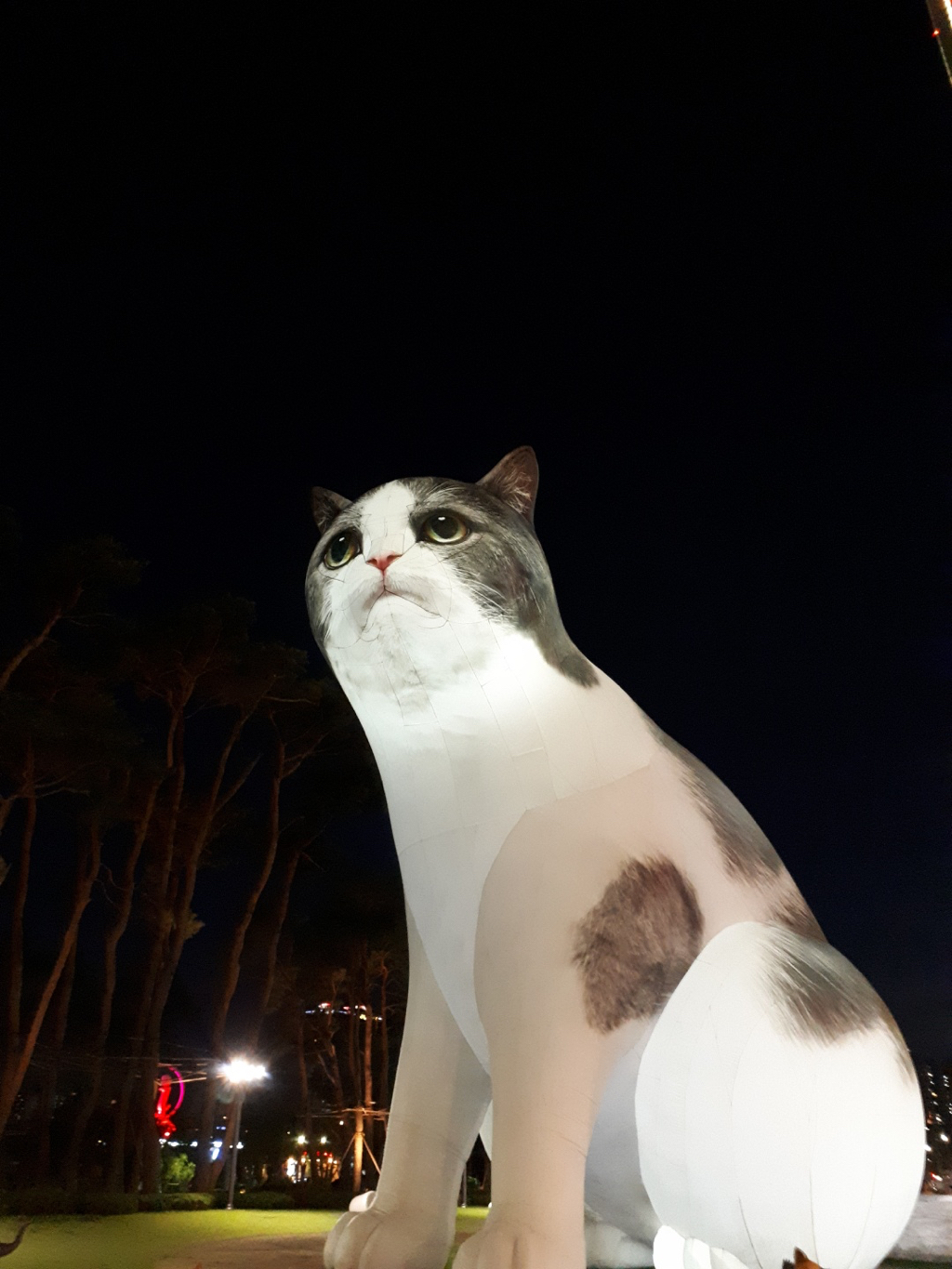 잠실에 등장한 빅 떼껄룩 | 인스티즈