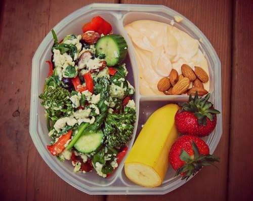 다이어터 도시락 | 인스티즈