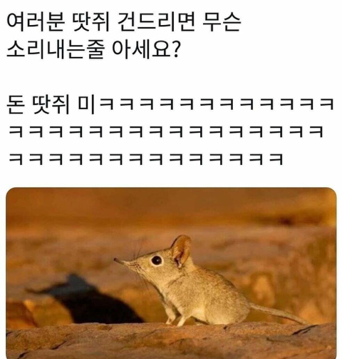 동물개그 모음집.JPG | 인스티즈