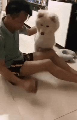 개지리는 마술.gif | 인스티즈