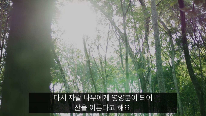 폭발사고를당하고 이상한능력이 생긴남자 | 인스티즈