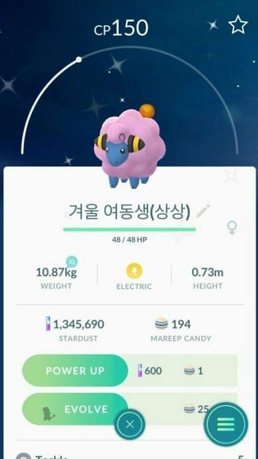 포켓몬 이름을 여동생으로 지음 | 인스티즈