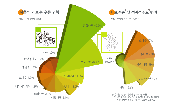 한국의 가로수 3대장...jpg | 인스티즈